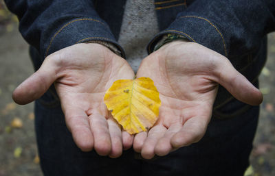 Close-up of man holding fruit