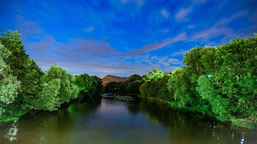 Scenic view of river amidst trees against sky