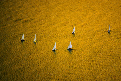 Aerial view of sailboats on sea