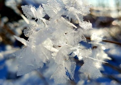 Close-up of frozen water