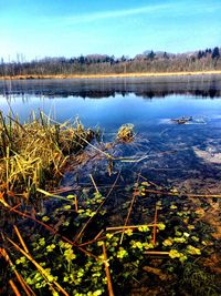 Scenic view of lake against sky