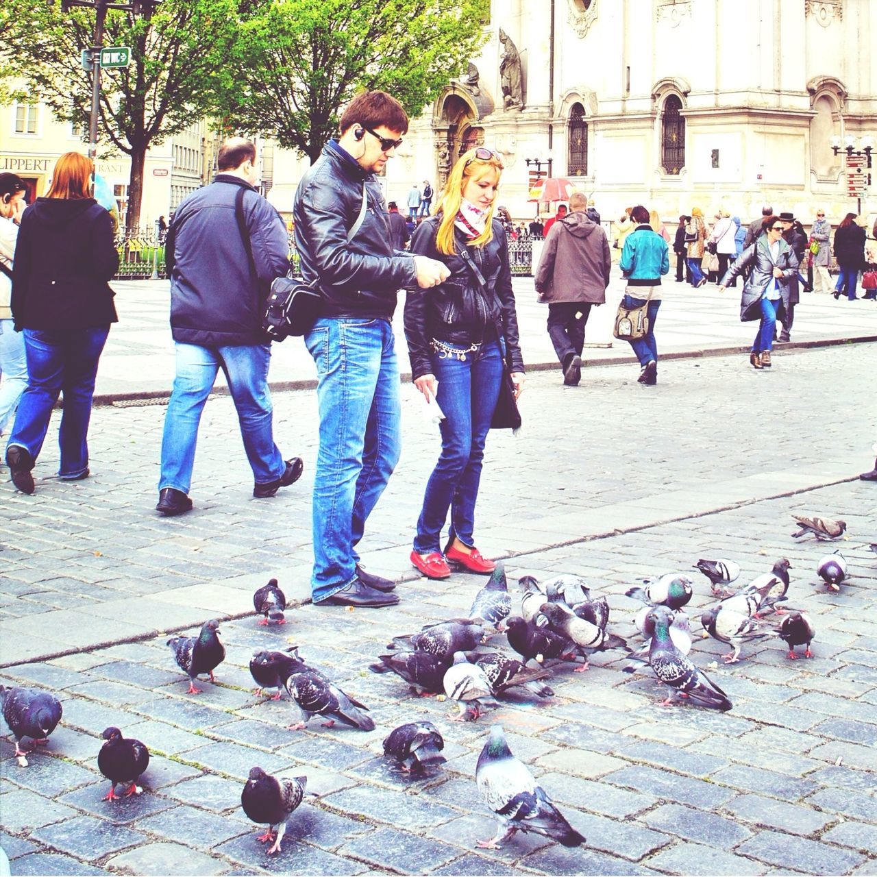 large group of people, person, lifestyles, men, leisure activity, walking, street, bird, togetherness, full length, casual clothing, city life, day, crowd, outdoors, mixed age range, animal themes, rear view