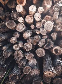 Full frame shot of logs in forest