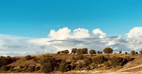 Panoramic view of landscape against blue sky
