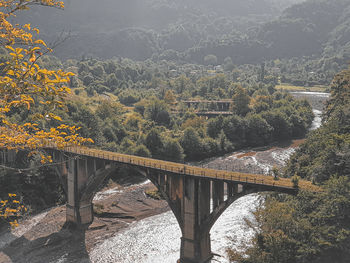 Bridge over river in forest