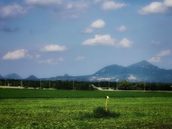 Scenic view of field against sky