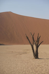 Scenic view of desert against sky