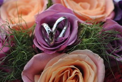 Close-up of rose bouquet