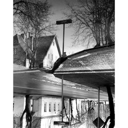 Silhouette of woman walking in park