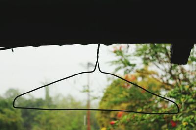 Close-up of wet plant during rainy season