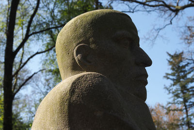 Low angle view of statue against trees