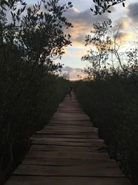 Boardwalk amidst trees against sky during sunset