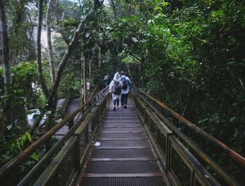 Rear view of people walking on footbridge in forest