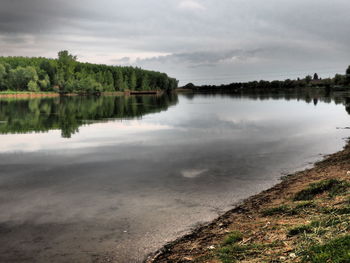 Reflection of trees in calm lake