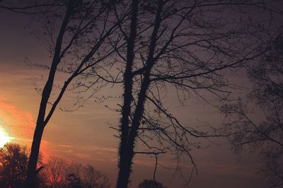 Low angle view of bare trees against sky at sunset