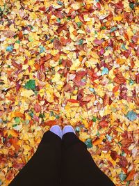 Low section of person standing on autumn leaves