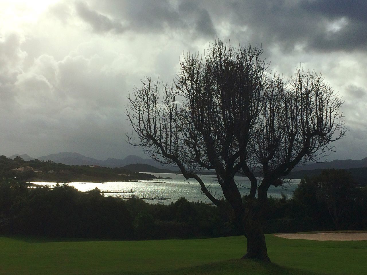 tree, sky, tranquility, tranquil scene, cloud - sky, bare tree, grass, scenics, beauty in nature, landscape, branch, nature, cloudy, field, cloud, growth, water, tree trunk, non-urban scene, idyllic