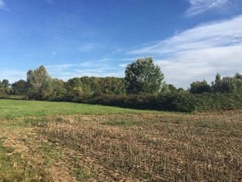 Scenic view of field against sky