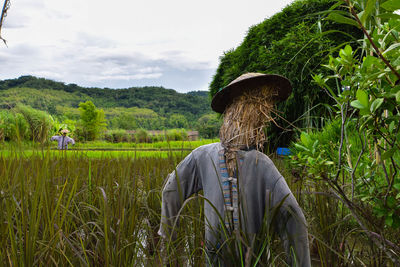 Rear view of man in farm