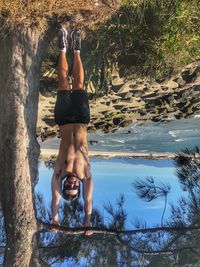 Upside down image of young man with arms raised holding branch while standing at beach