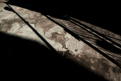 Close-up of wood against black background