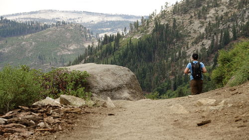 Rear view of man walking on mountain