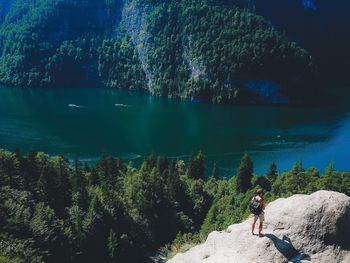 Scenic view of lake by trees