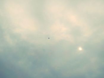 Low angle view of bird flying in sky