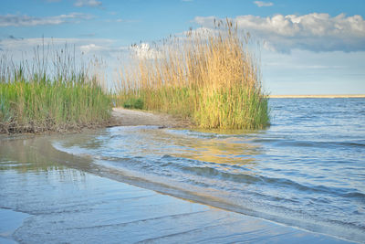 Scenic view of sea against sky