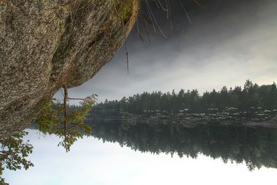 Reflection of trees in calm lake