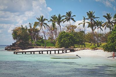 Beach with palm trees against sky