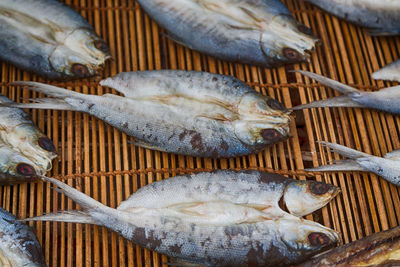 High angle view of fish for sale