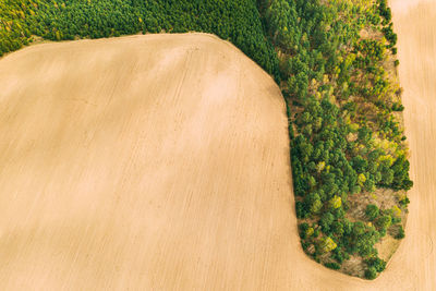 High angle view of beach