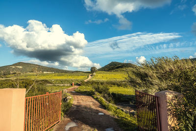 Scenic view of landscape against sky