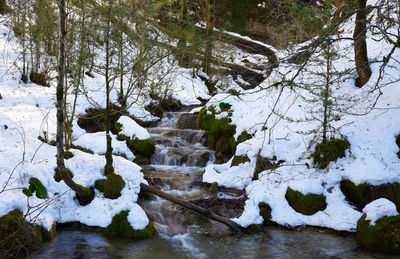 Scenic view of river in forest during winter