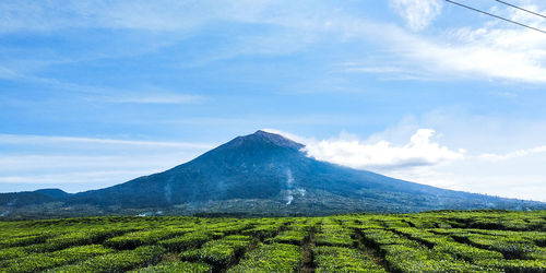 Scenic view of landscape against sky