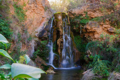 Scenic view of waterfall in forest