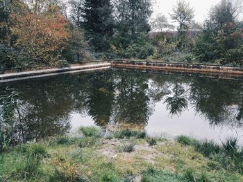 Reflection of trees in river