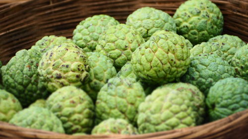 Close-up of green vegetables in basket