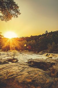 Scenic view of sun shining through trees during sunset