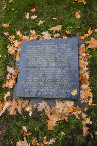 High angle view of autumn leaves on grass