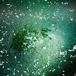 Full frame shot of wet shore