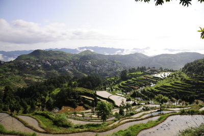 High angle view of green landscape