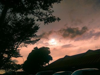 Low angle view of trees against sky at sunset