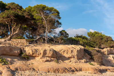 Rock formations on landscape against sky