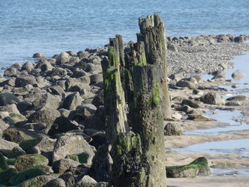 Rocks on shore at beach