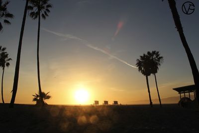 Silhouette palm trees on beach against sky at sunset