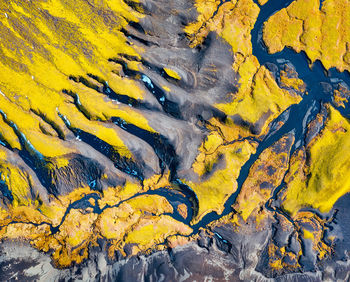 High angle view of yellow leaf on land