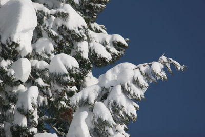 Low angle view of snow against clear blue sky