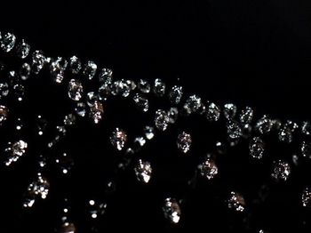 Trees growing at night